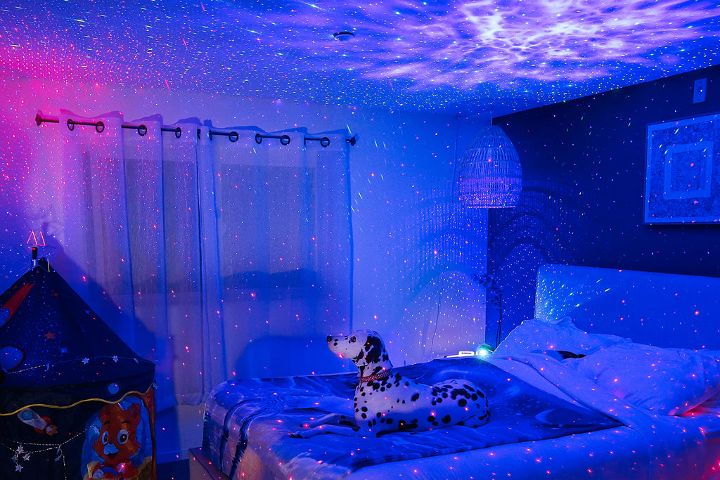 bedroom with laser lights and dalmatian