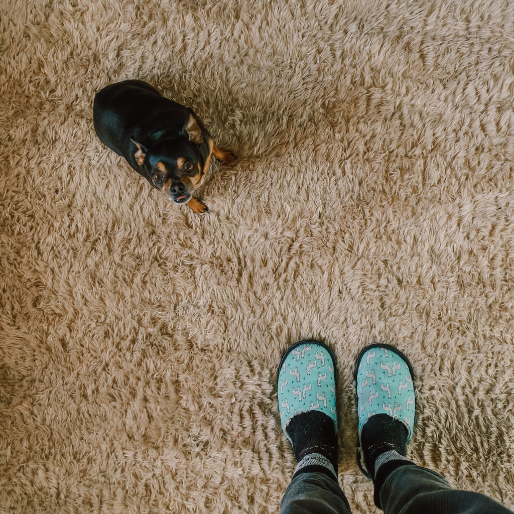 person wearing novelty slippers standing next to dog