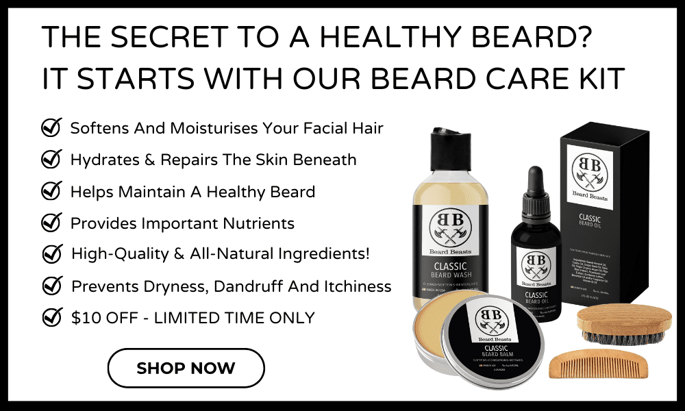 beard beasts beard kit for beard maintenance